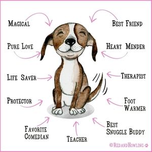 Meet your Posher, Renee